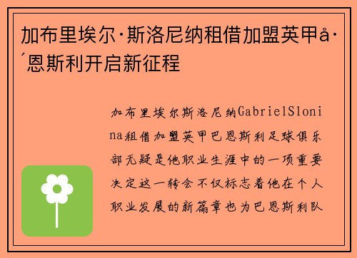 加布里埃尔·斯洛尼纳租借加盟英甲巴恩斯利开启新征程